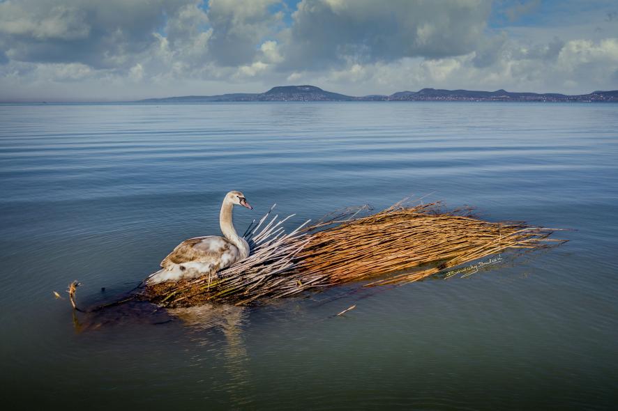 Van egy jó képed a Balatonról?