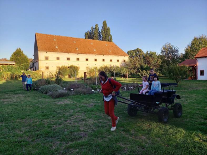 Múzeumok Őszi Éjszakája a Majorban