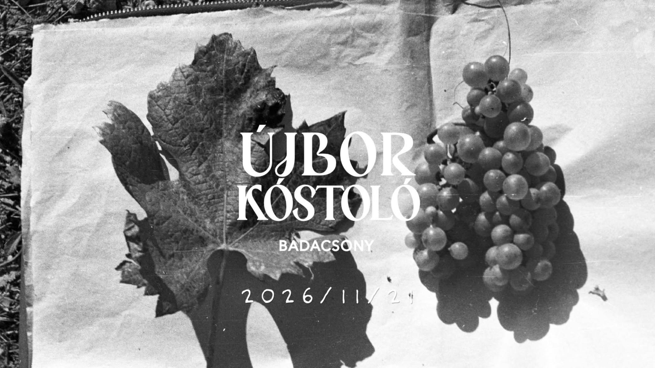 Badacsonyi Újbor Kóstoló - 2026