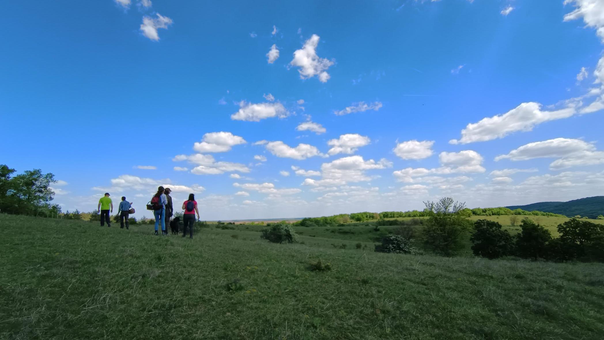 Gaz.Gomba.Kaja. 2.0 Őszi ízek, közös asztal, helyi kincsek