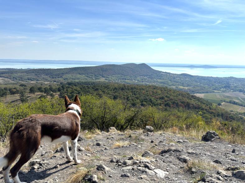 Tóti-hegy túra – 360 fokos panoráma a Tapolcai-medencére