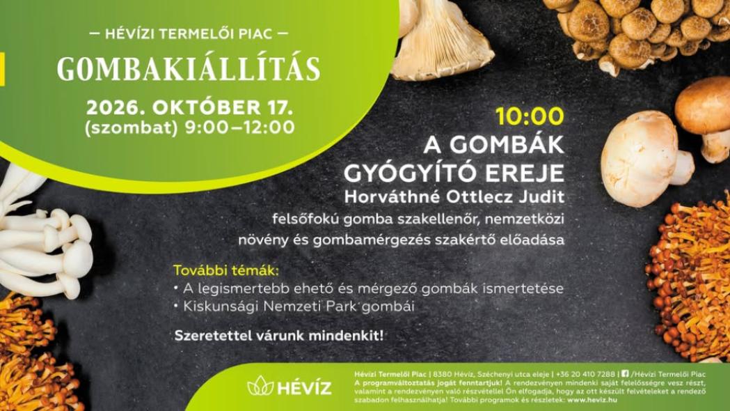 Gombakiállítás
