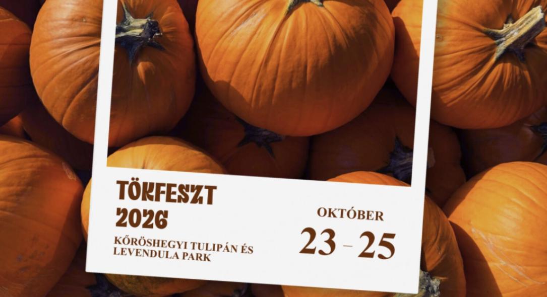 TÖKFESZT2026