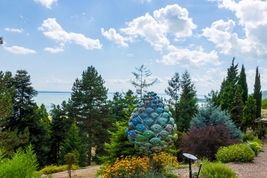 Tobozszüret és téli ünnepi séták a Folly Arborétumban