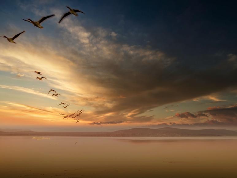 Őszvarázs Balatonlellén - 2025 Őszvarázs Balatonlellén - 2025