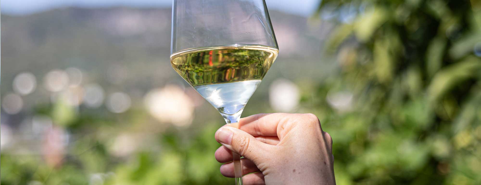 Petrányi Csopak kedvezményes borválogatások