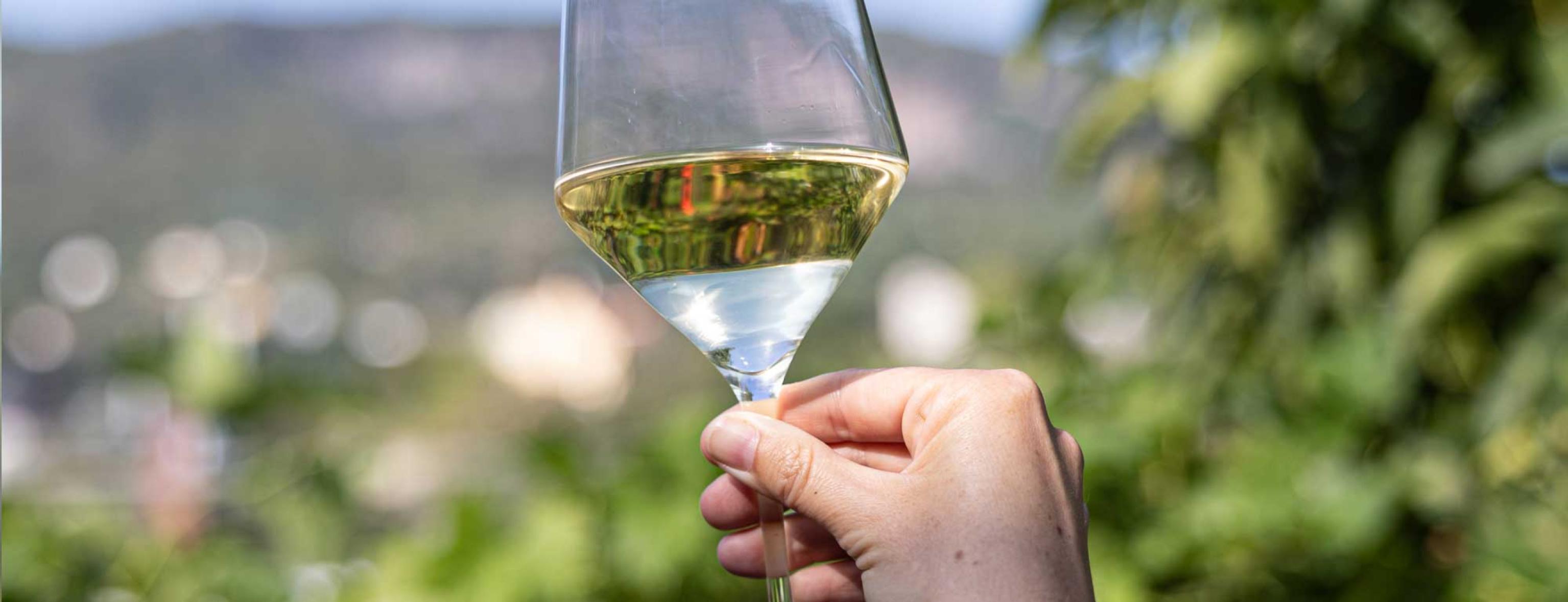 Petrányi Csopak kedvezményes borválogatások