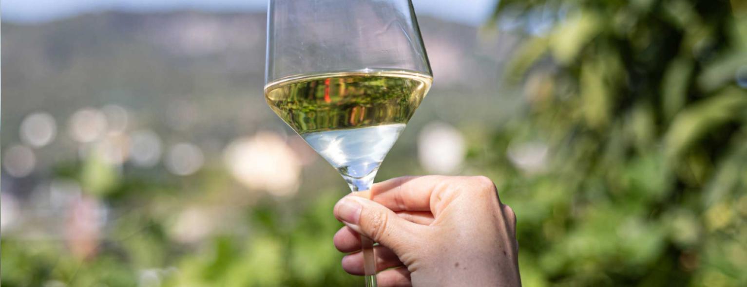 Petrányi Csopak kedvezményes borválogatások