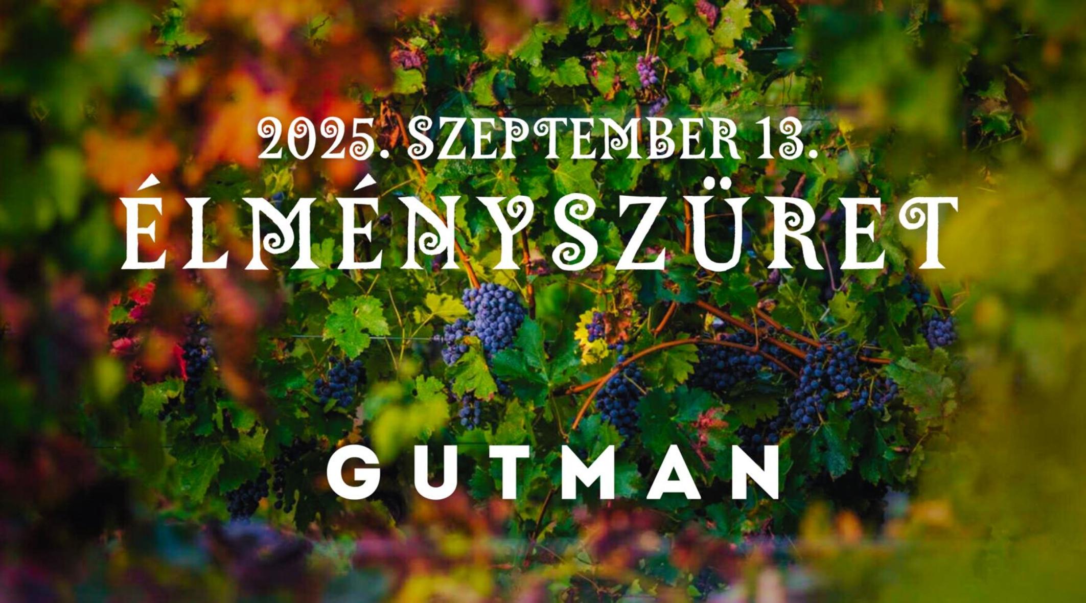 Élményszüret - Gutman Borpince