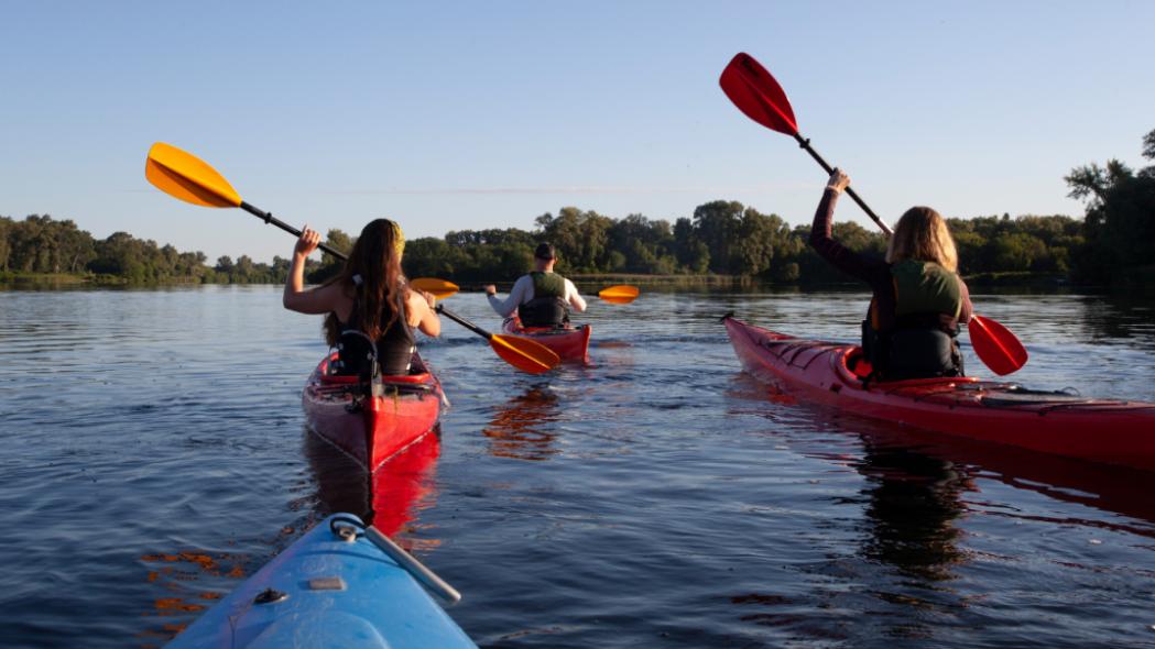 Kányavári kenutúra