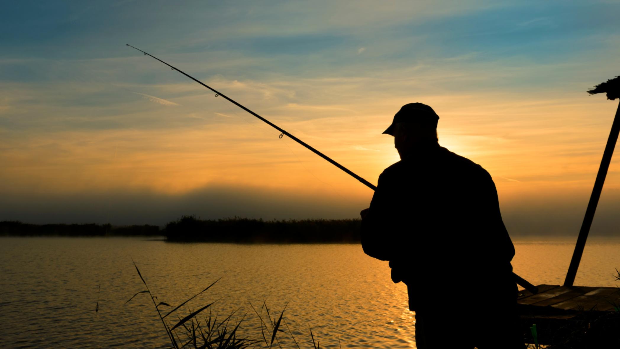 International Balaton Carp Cup (IBCC)