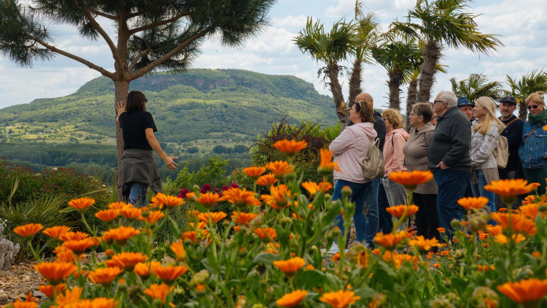 Ebéddel Egybekötött Vezetett Kertlátogatás