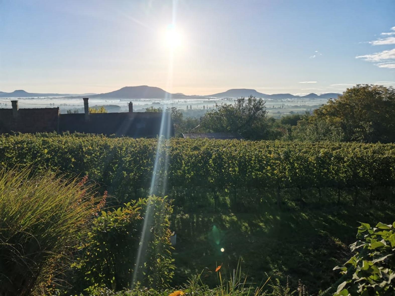 Őszi nyitott porta napok a Balatonnál