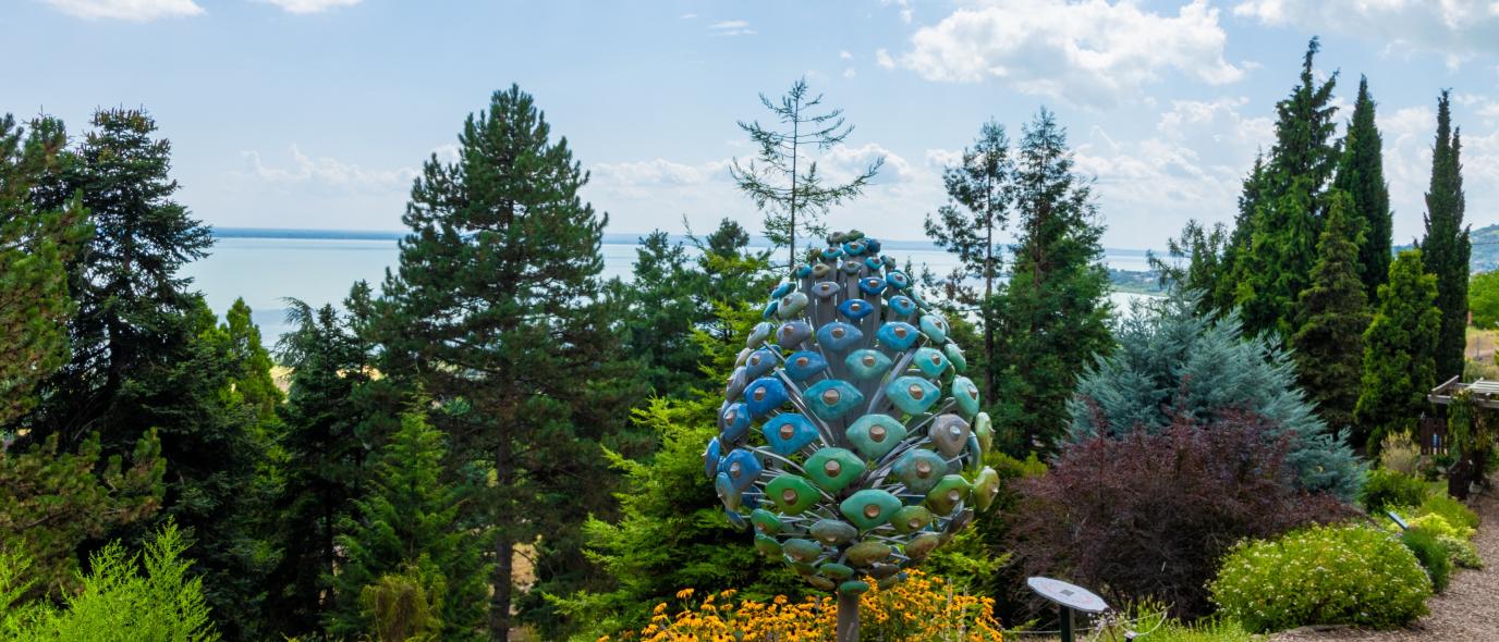 Tobozszüret és téli ünnepi séták a Folly Arborétumban