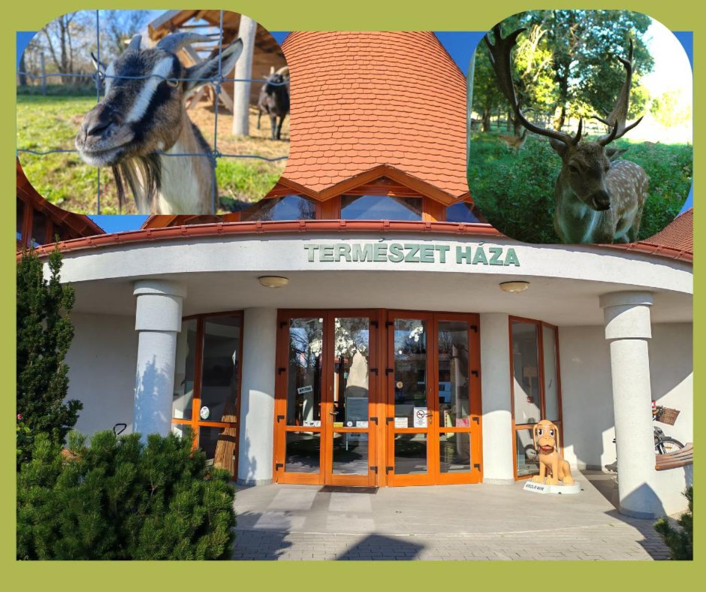 Adventi készülődés
 Mikulásváró a FIÉK-ben