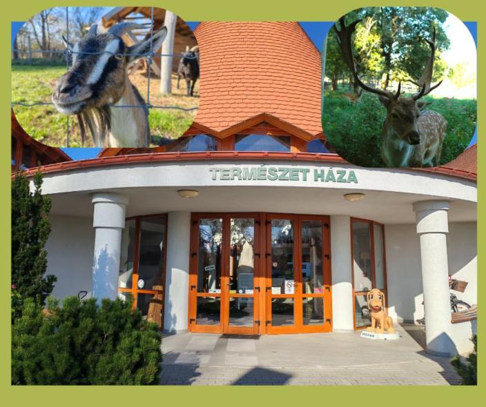 Adventi készülődés
 Mikulásváró a FIÉK-ben