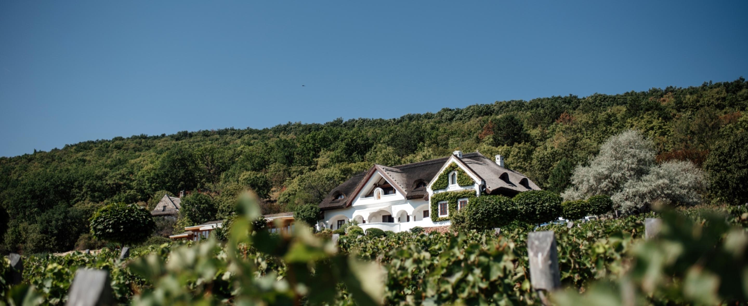 ST.DONAT borok az ünnepekre