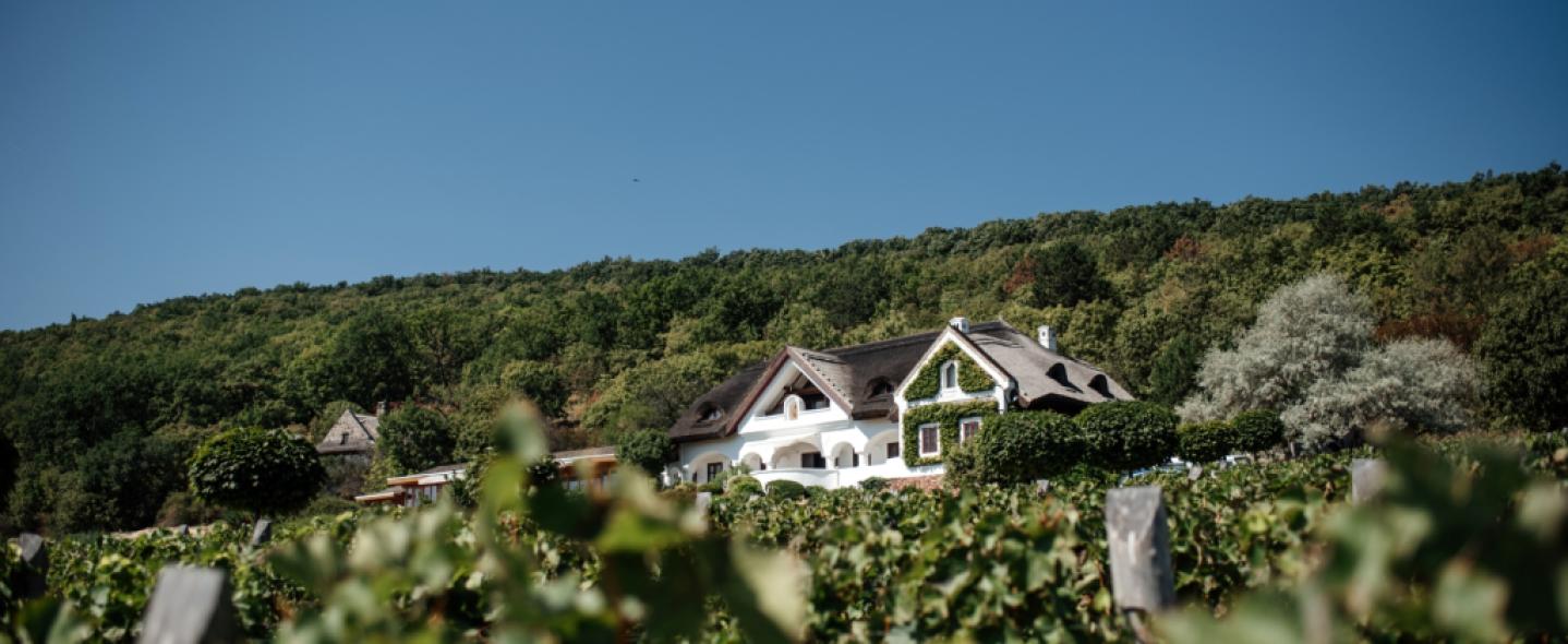 ST.DONAT borok az ünnepekre