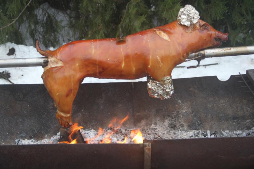 Nekünk is volt malacunk Badacsonyban