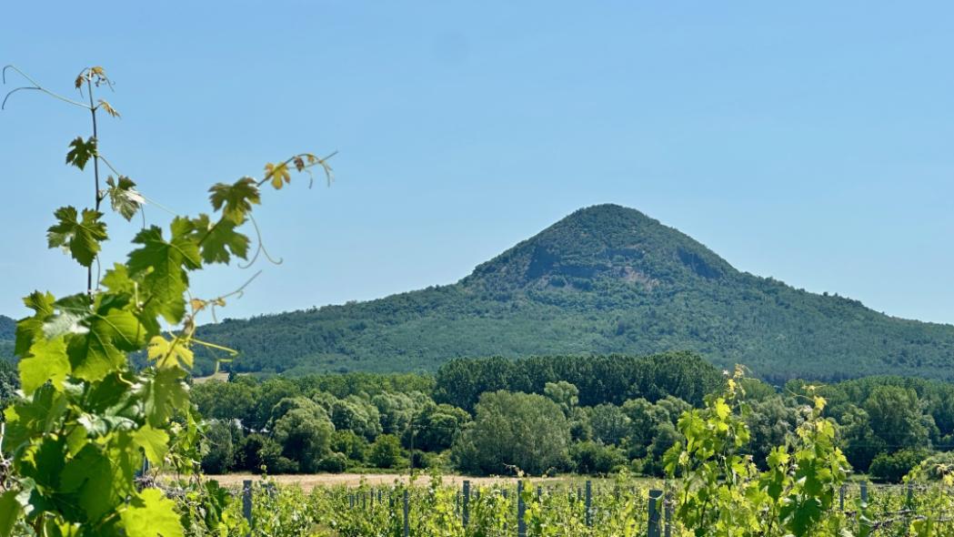 Túra a Gulács-hegyen – 2026 május