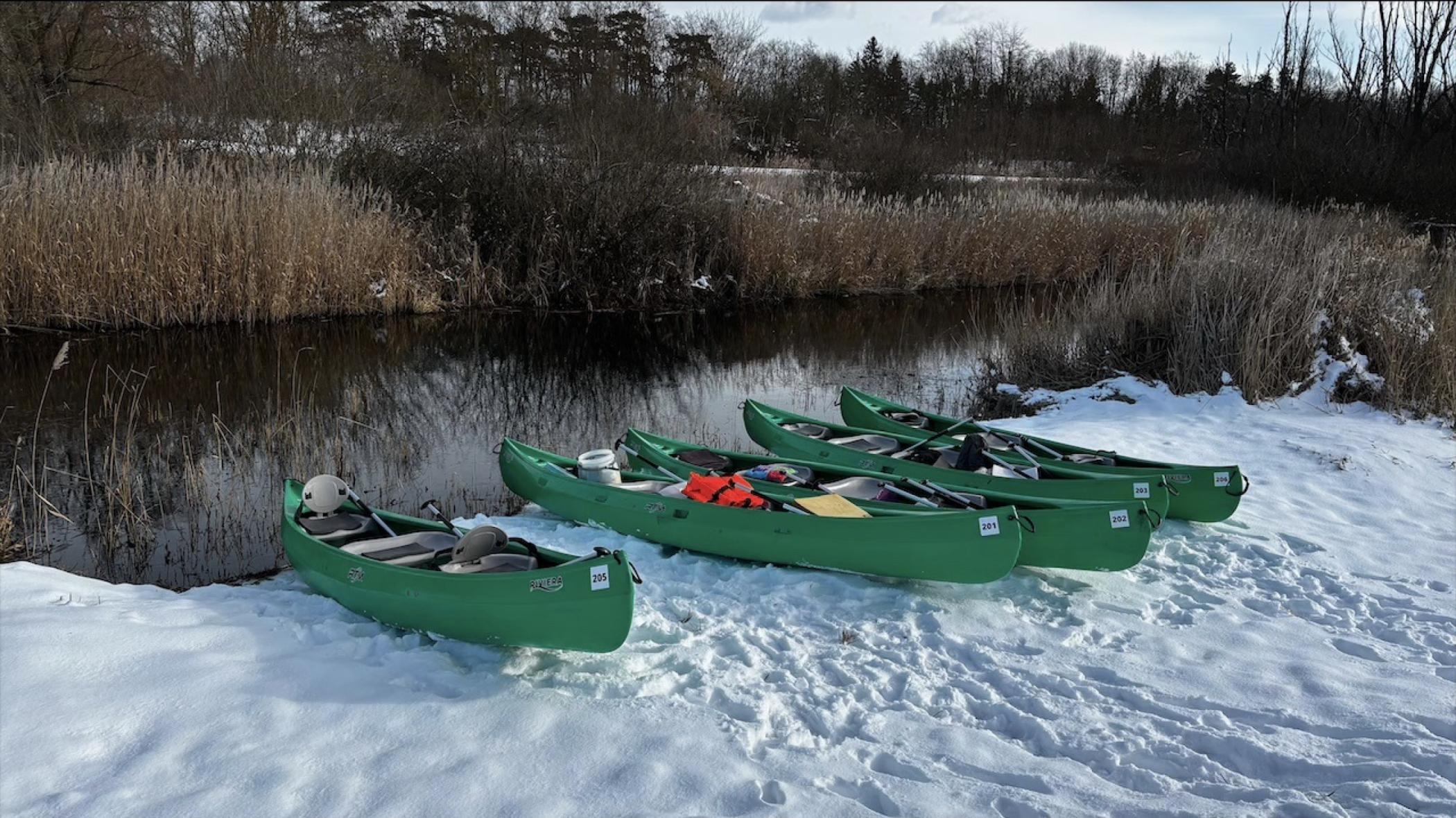 Téli evezés Hévízen - Téli melegvizes kenutúra a Hévíz-patakon