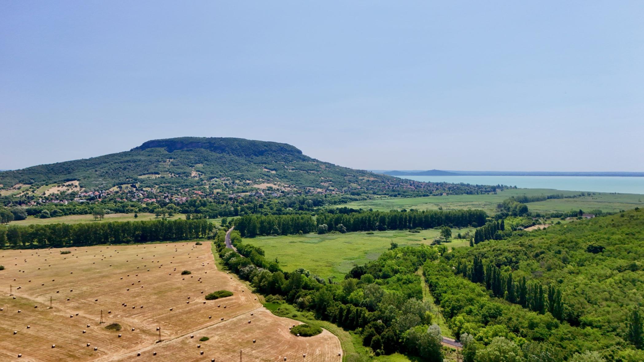 Badacsony New Yorkban 2026.