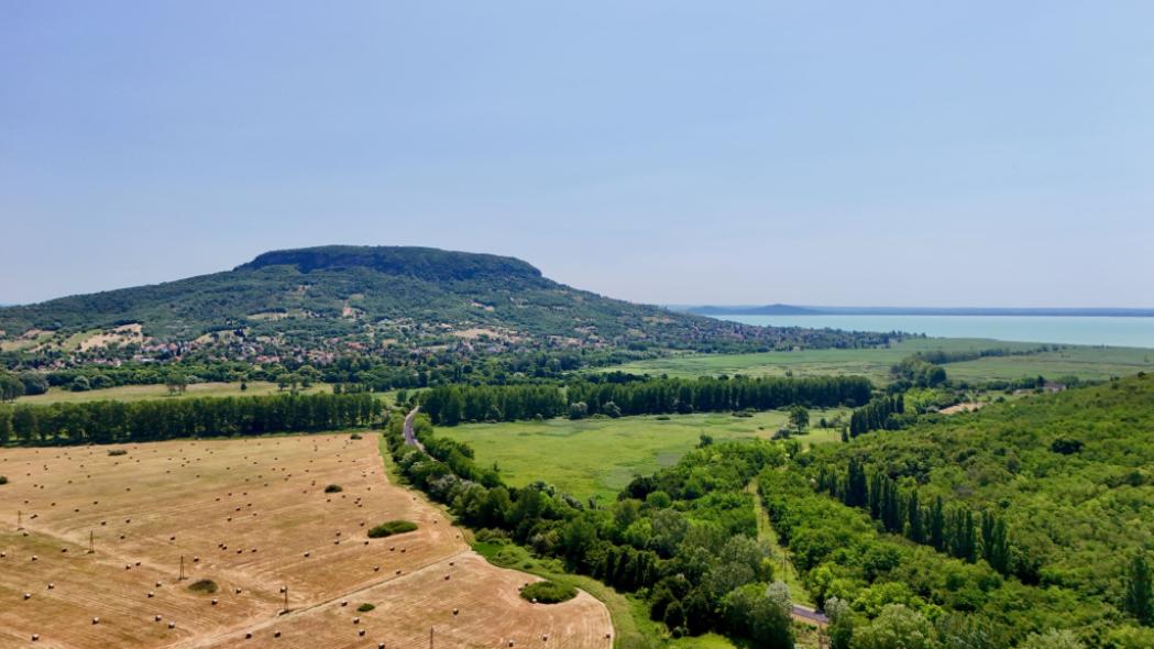 Badacsony New Yorkban 2026.