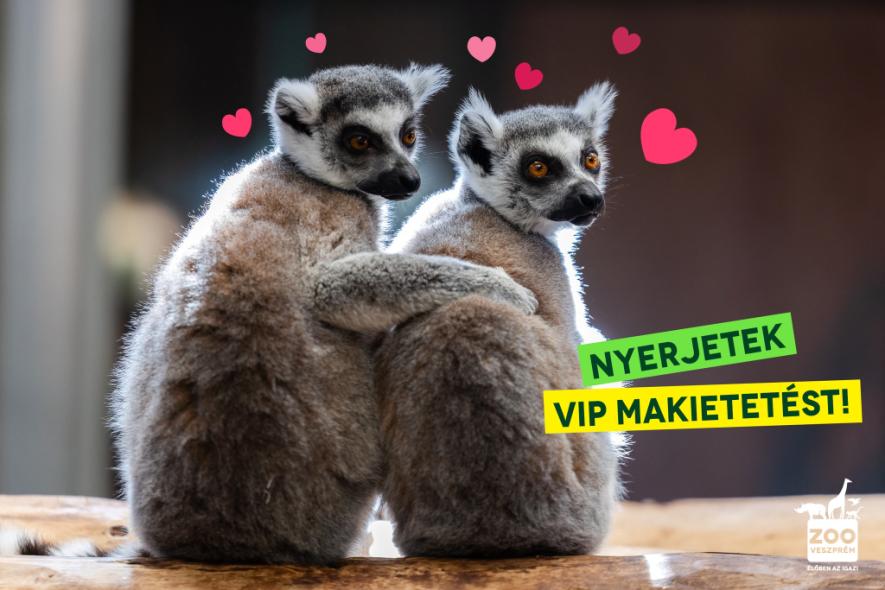 Valentin-nap a Veszprémi Állatkertben!