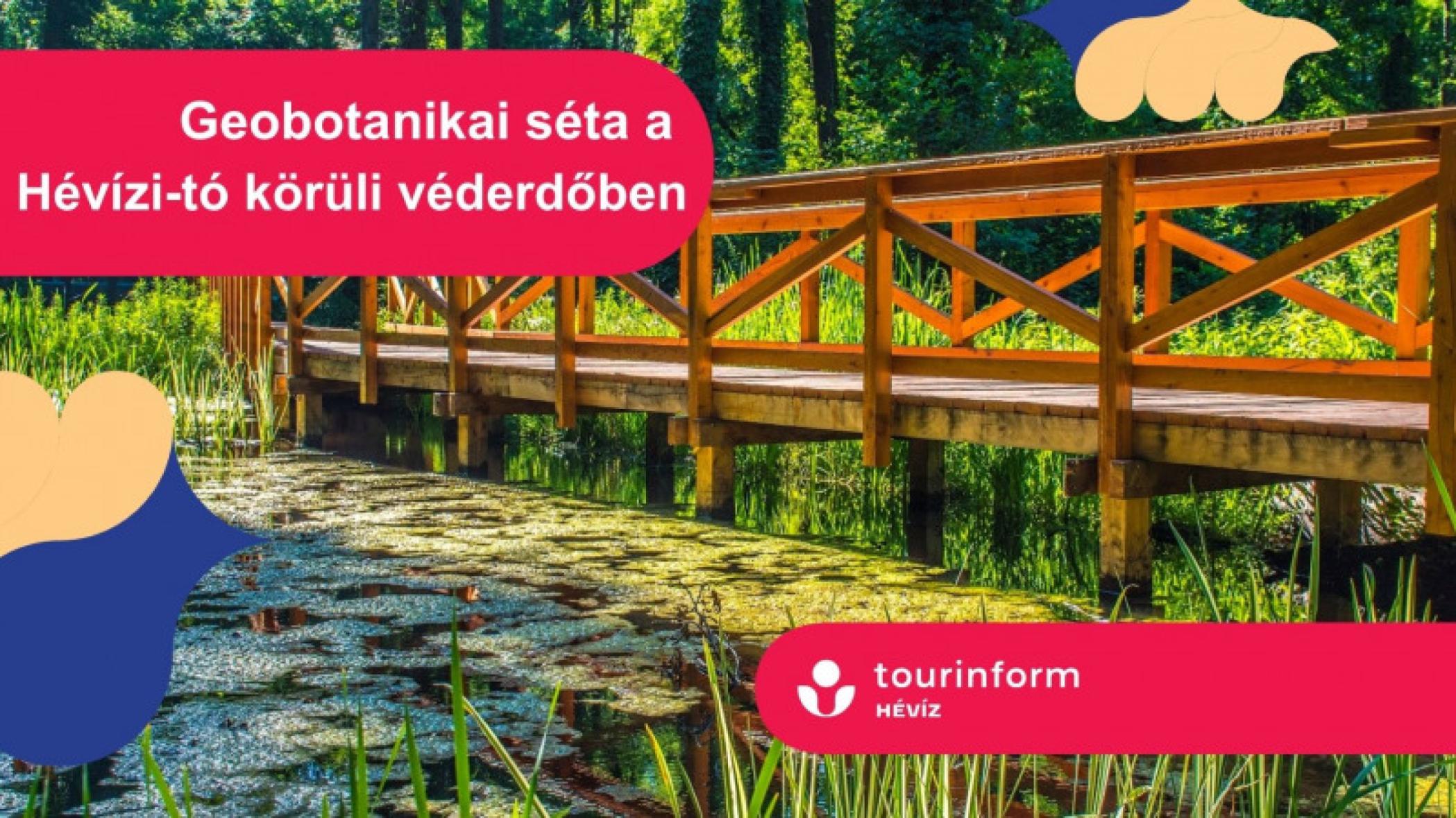 Geobotanikai séta a Hévízi-tó körüli véderdőben