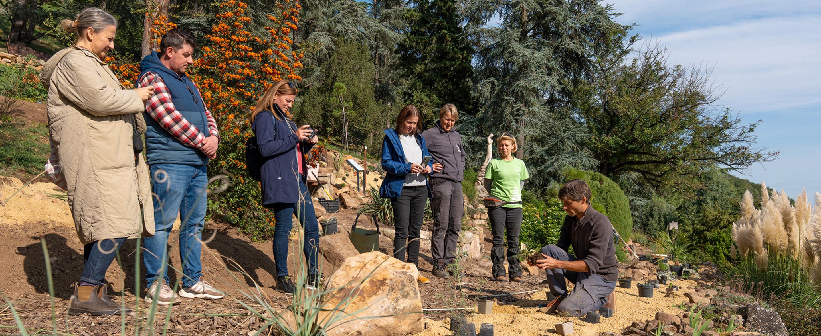 Szárazságtűrő kertalkotás workshop