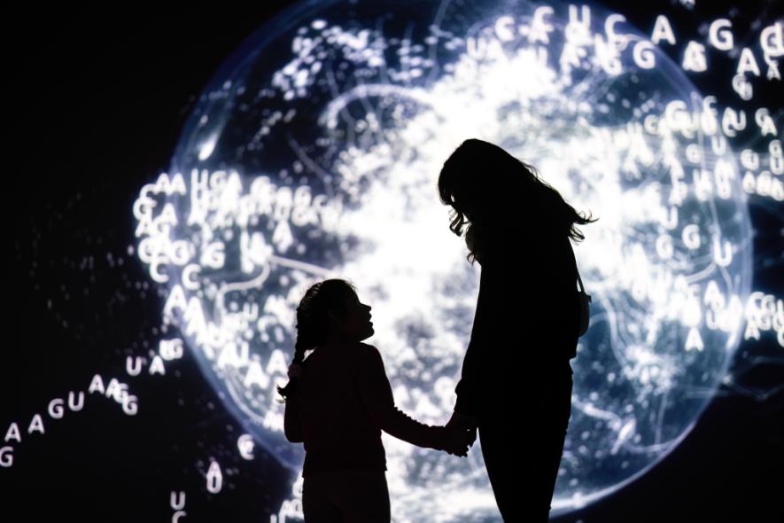 TALÁLMÁNYOK – a magyar zsenialitás történetei 