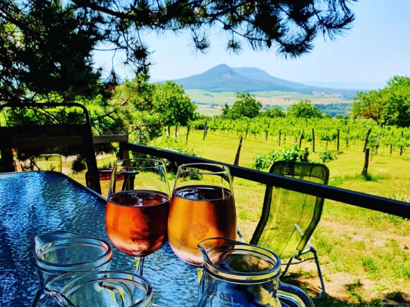 Bortúra a Csobánc-hegyen 