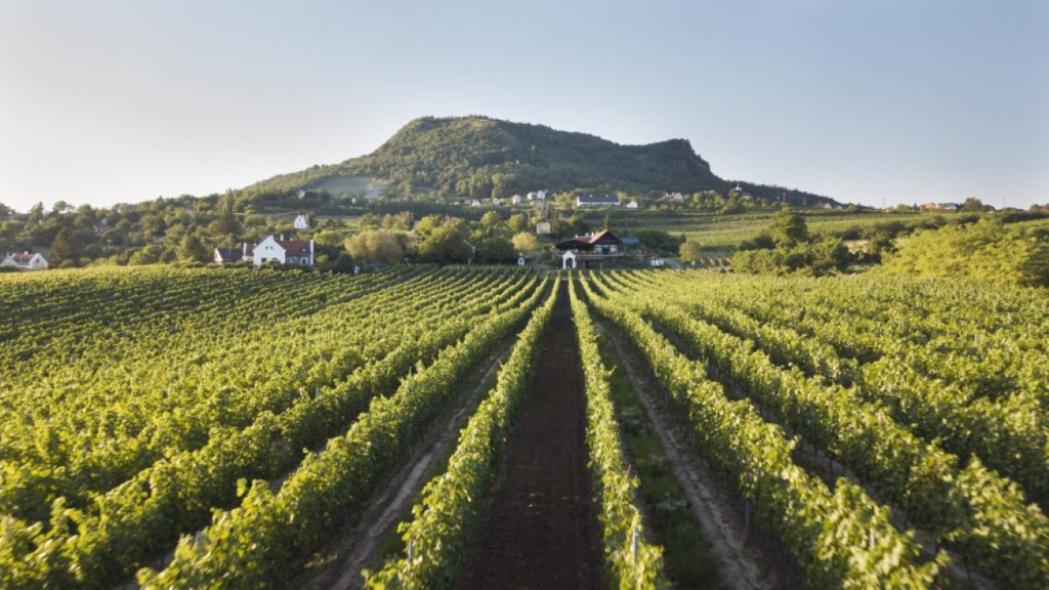 Késő tavaszi idill – Szent György-hegyi körtúra