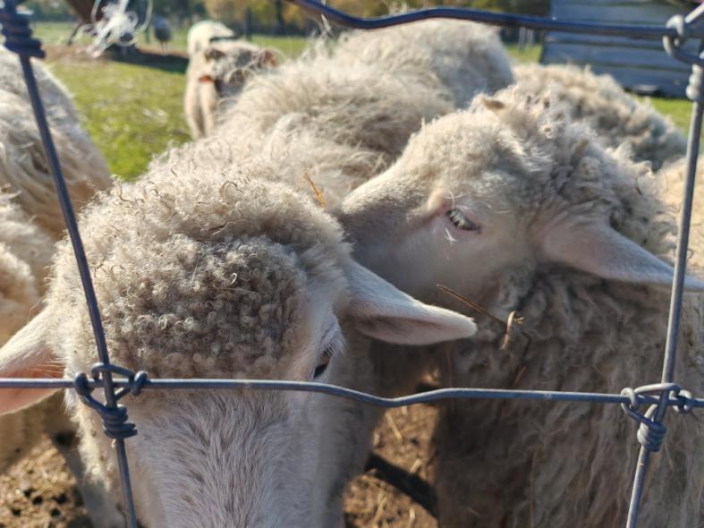 Élményetetés a Festetics Imre Élményközpontban