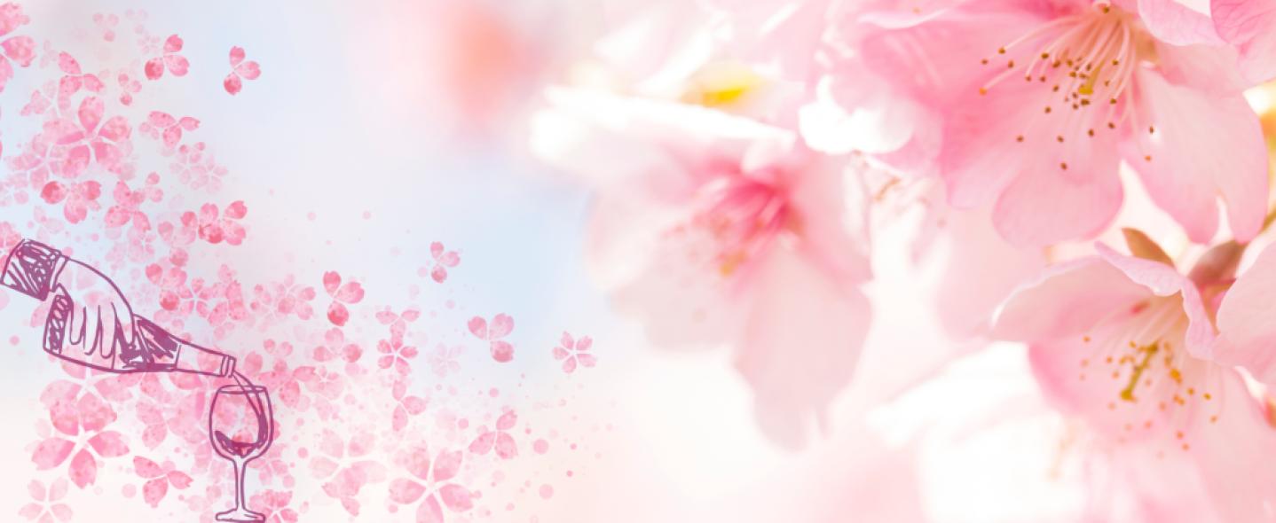 Tavaszi Becehegyi Bortúra