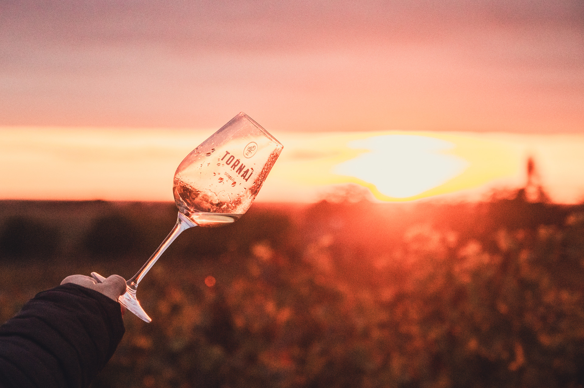 Somló Flow - 2026 Somló Flow - 2026