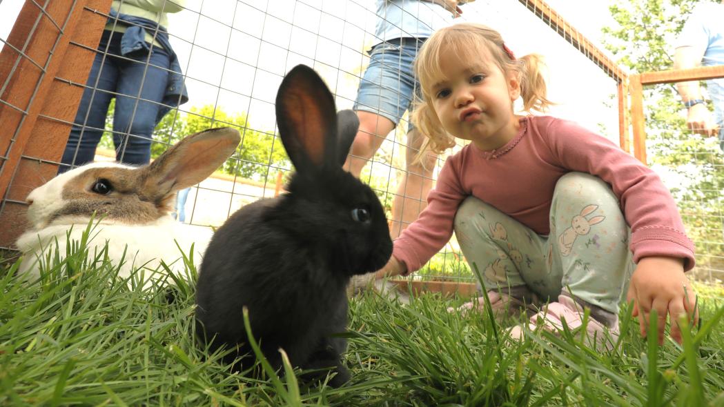 Itt az ideje, hogy a Balatonnál töltsétek a tavaszi szünetet