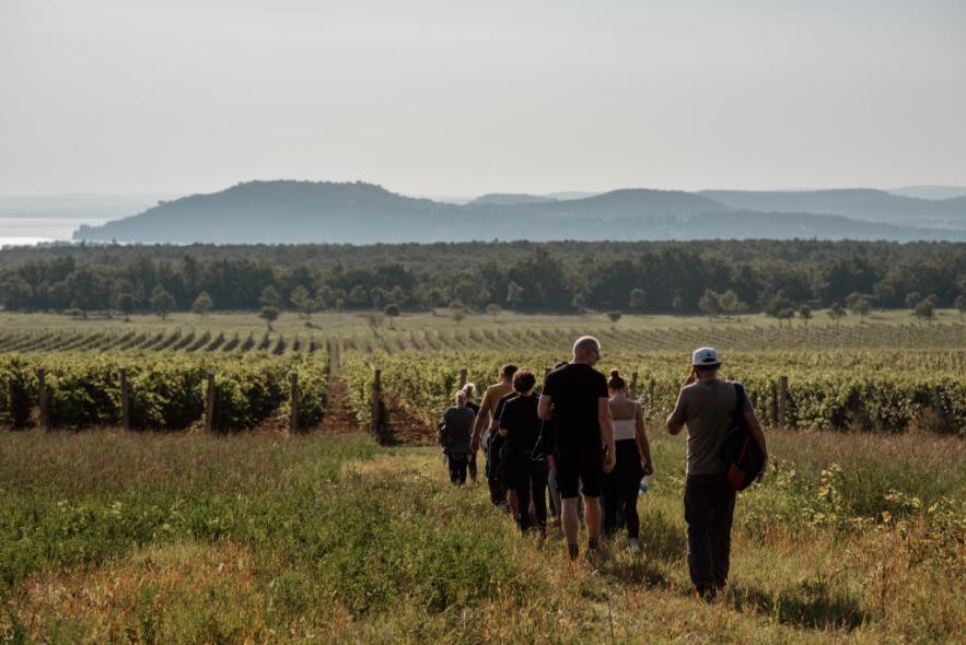 Húsvéti dűlőtúra & borkóstoló a Zelna Borászattal