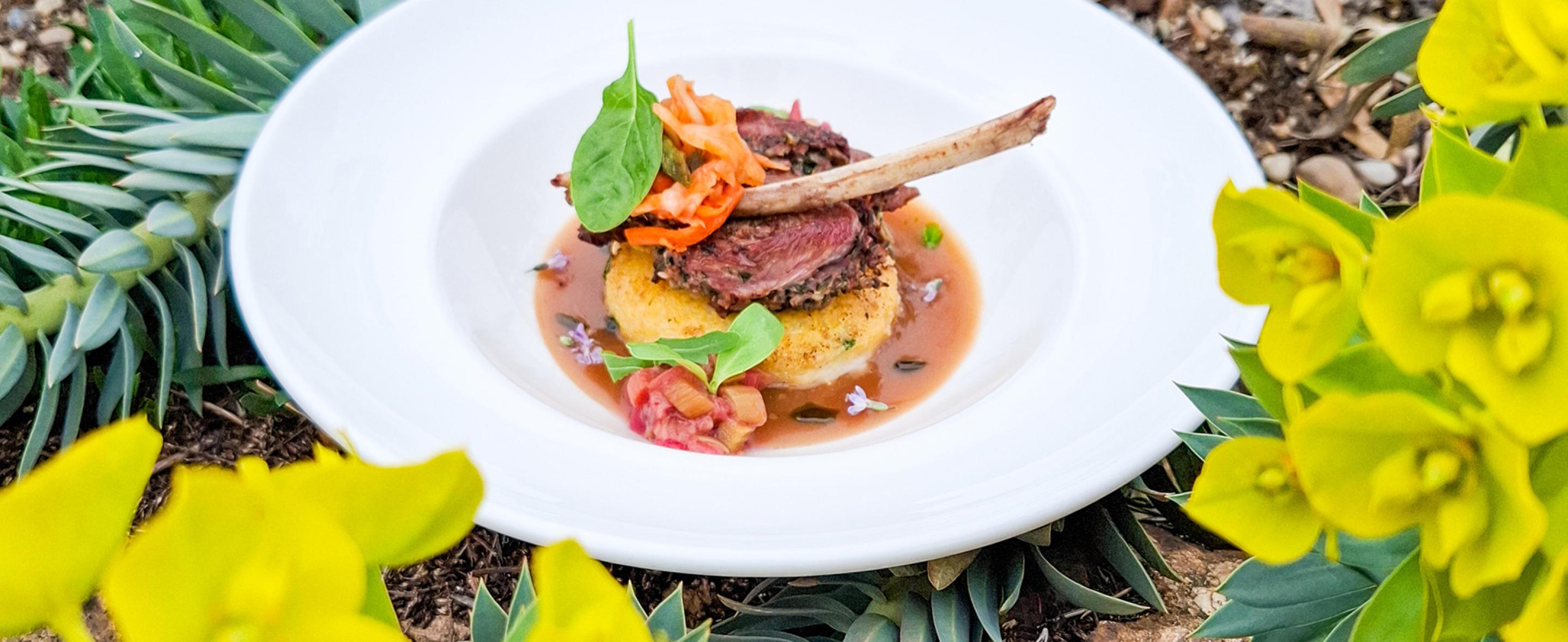 Gasztrohegy a Follyban 