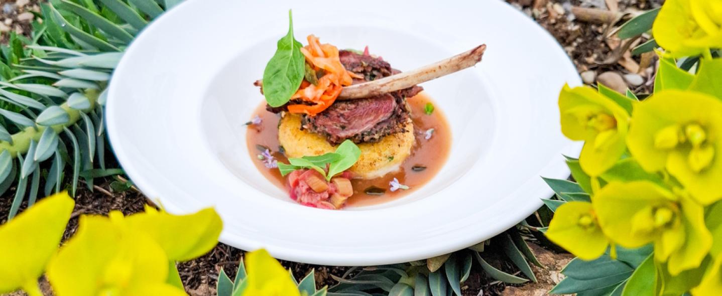 Gasztrohegy a Follyban 