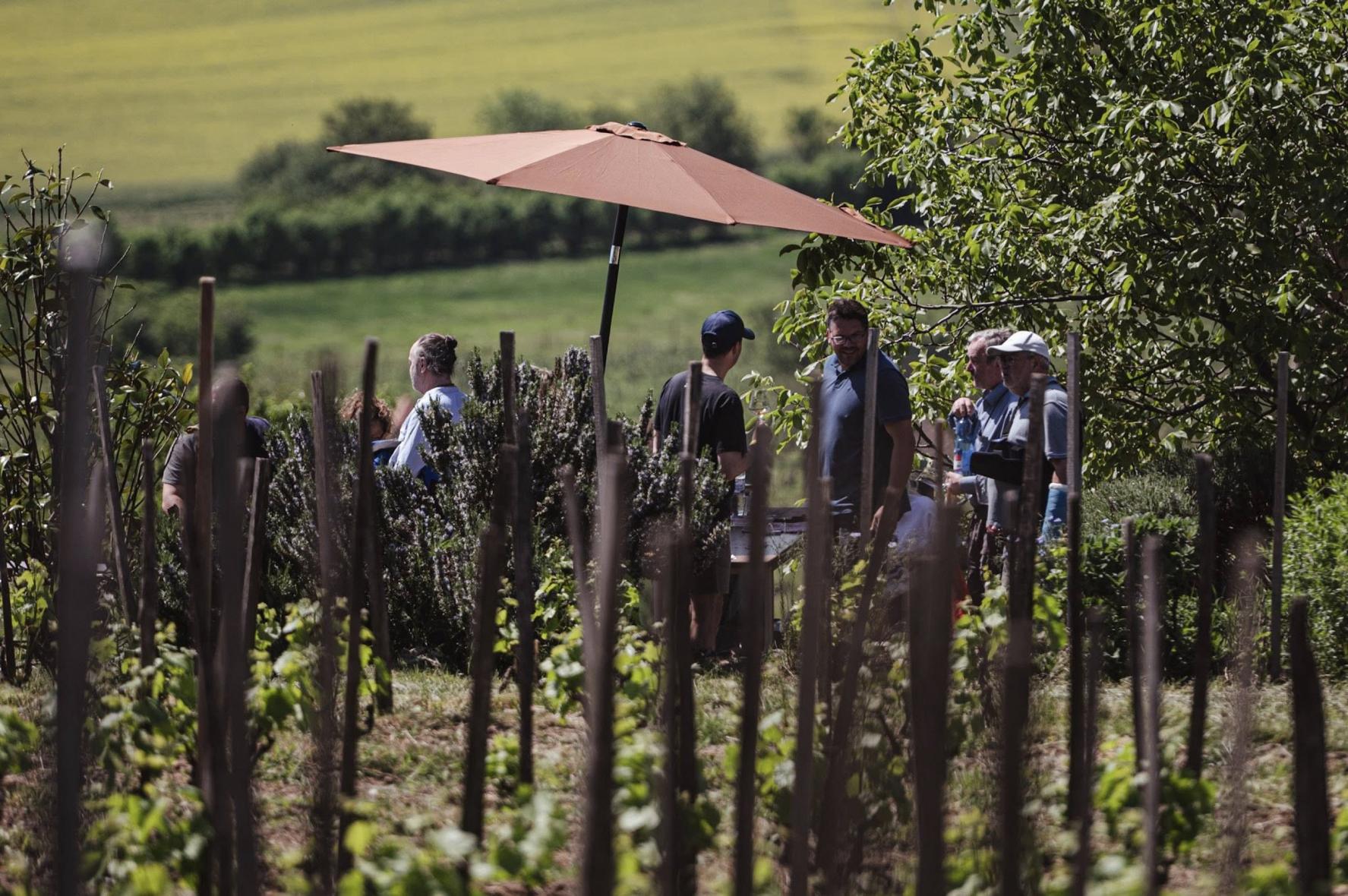 Gyalogtőkés Mulatság 2026