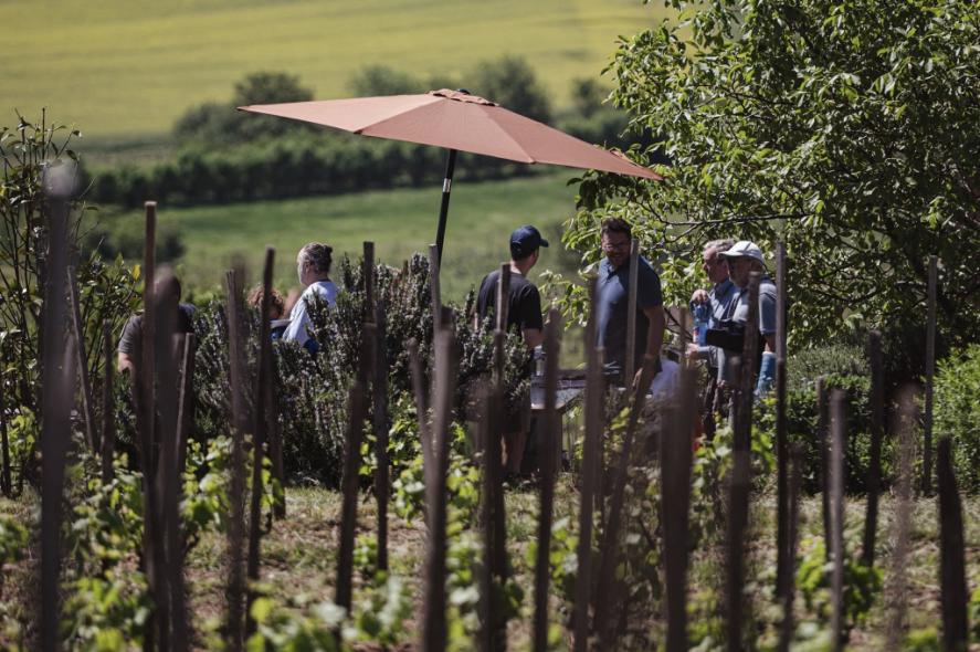 Gyalogtőkés Mulatság 2026