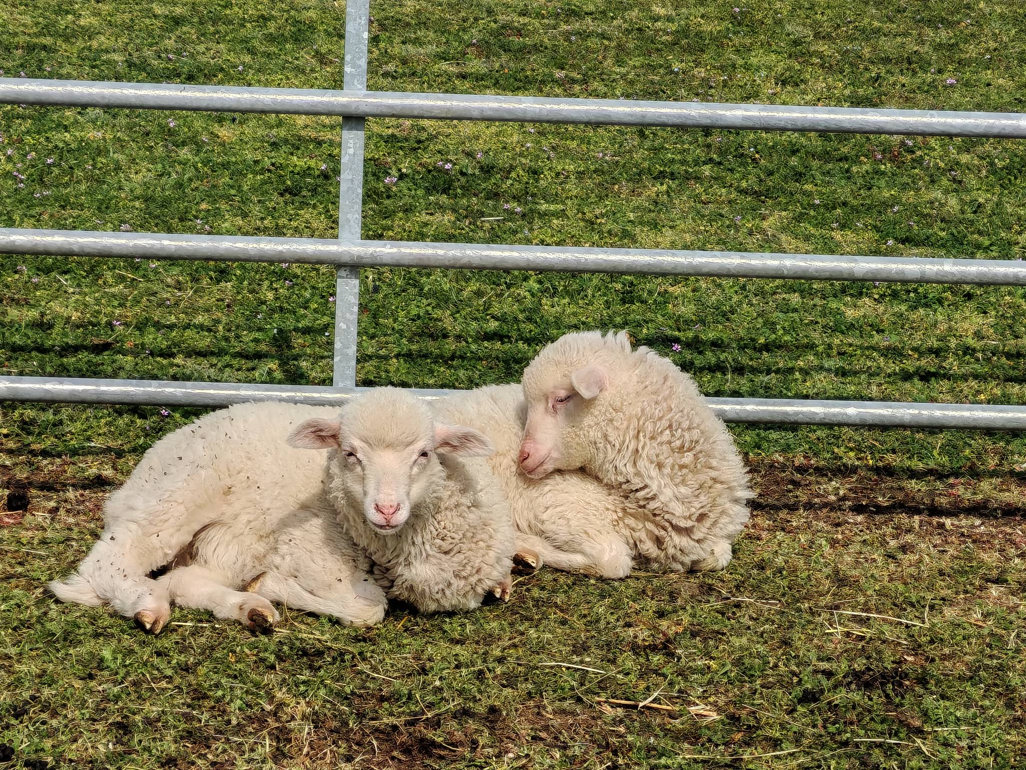 Festetics Imre Élményközpont