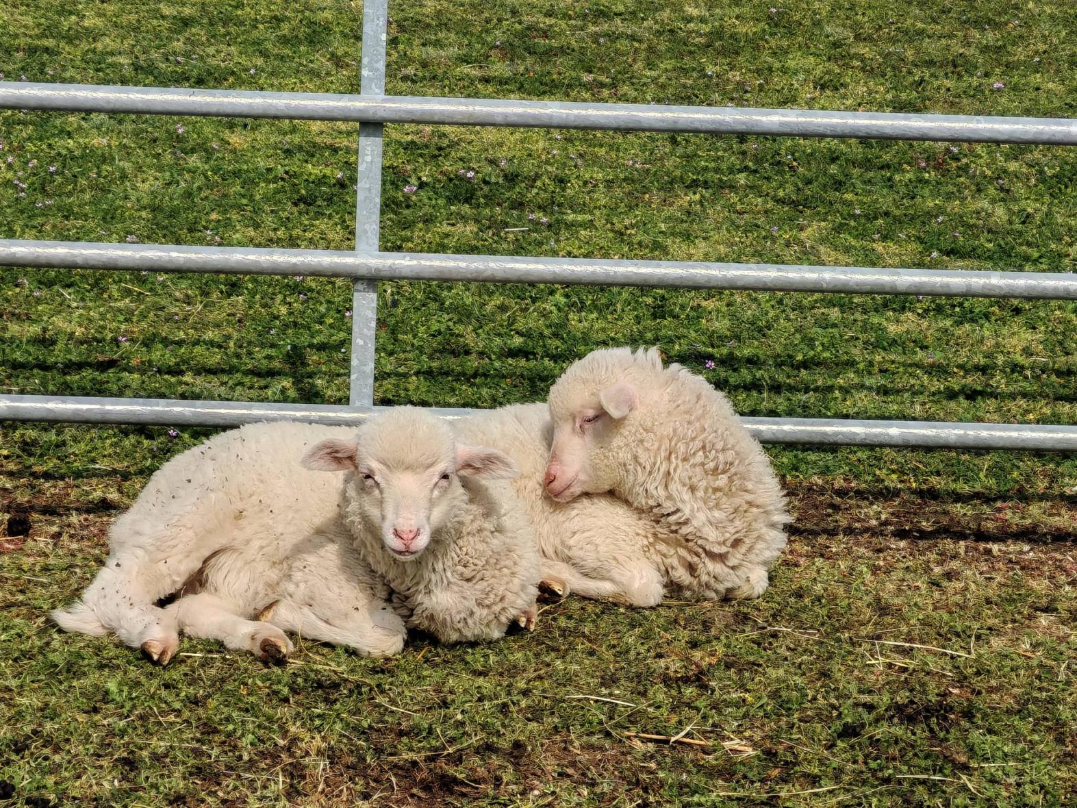 Festetics Imre Élményközpont