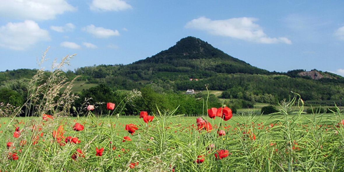 VI. Tapolca Rockwool Trail 