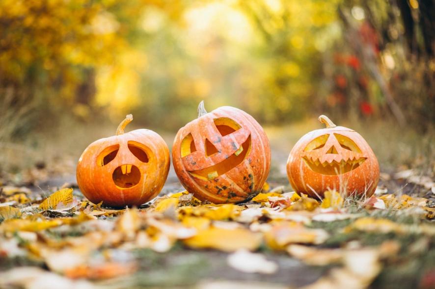Halloweeni Tökfaragás a Billegéri Lovastanyán