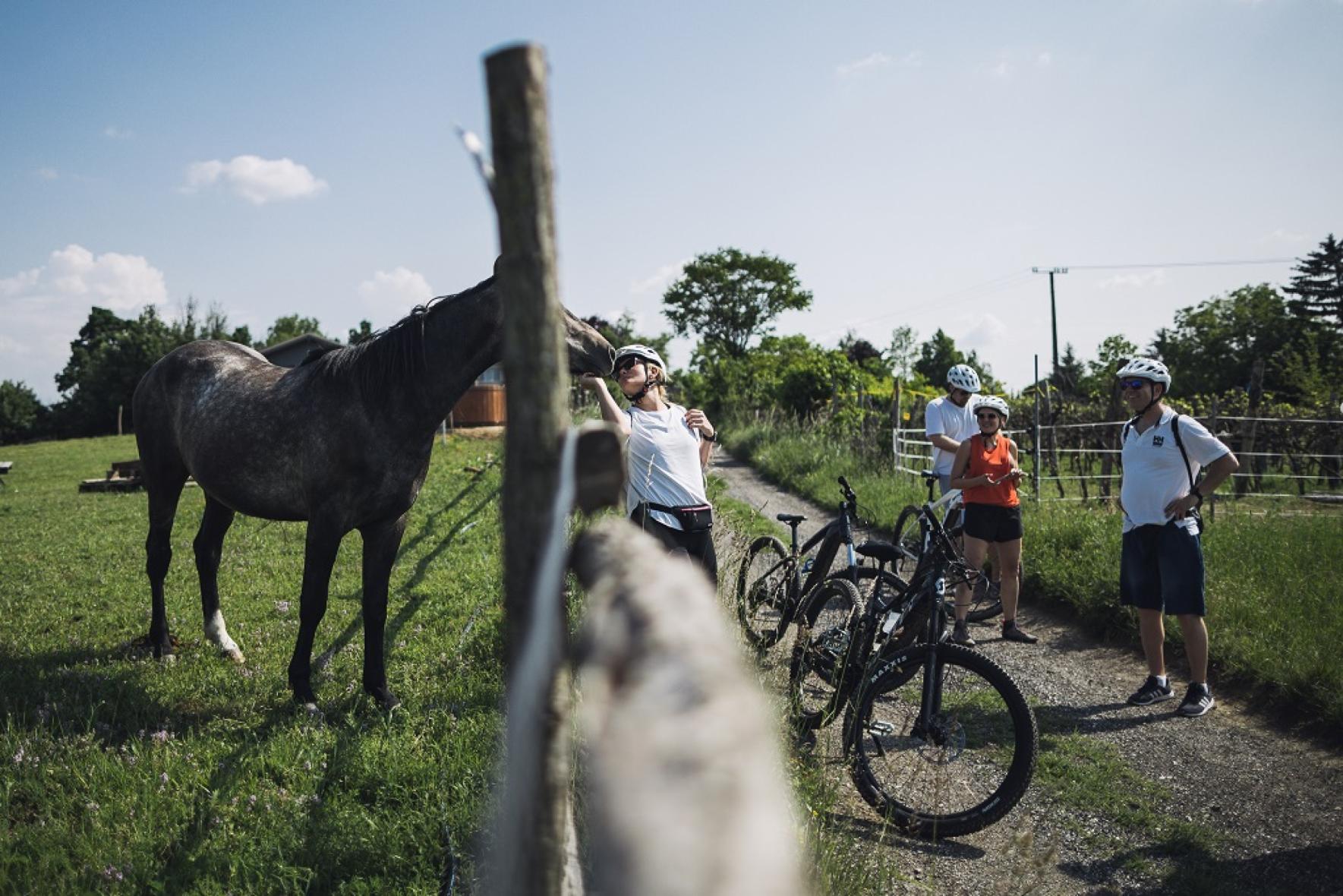 Ingyenes BBT eBike túra: Pecsétgyűjtő túra Kőröshegyen-völgyön