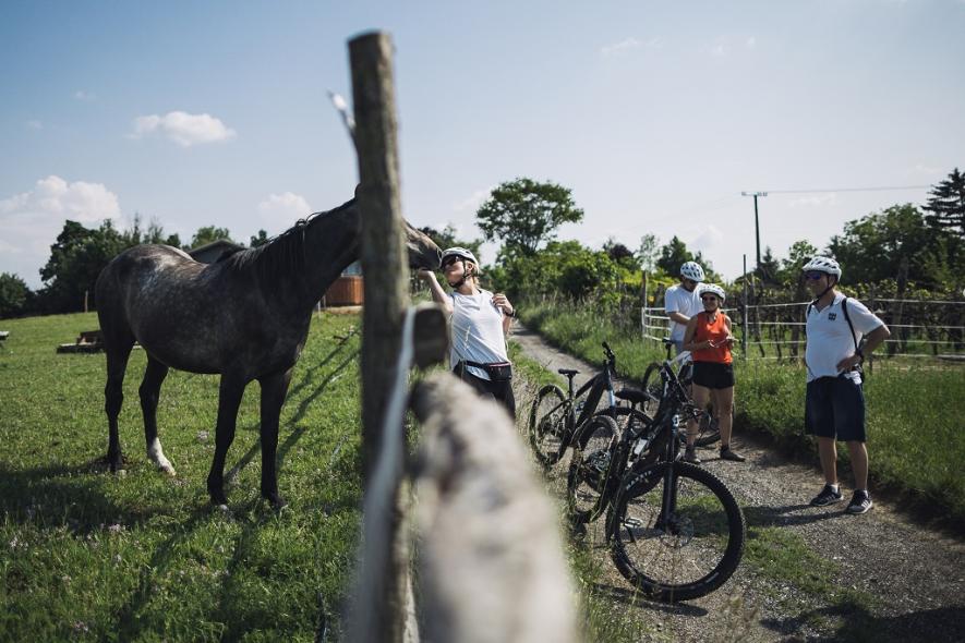 Ingyenes BBT eBike túra: Pecsétgyűjtő túra Kőröshegyen-völgyön