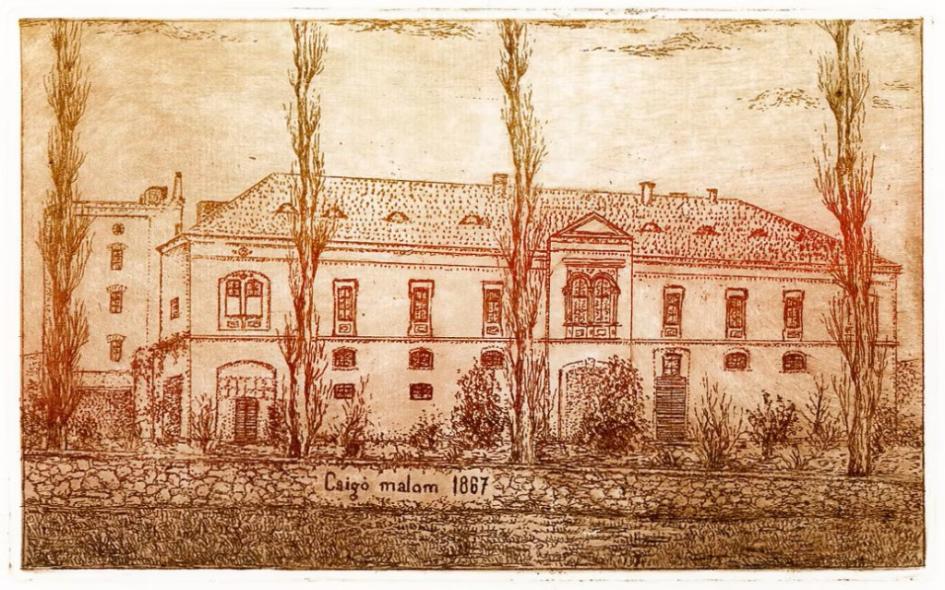 Csigó Art Fest